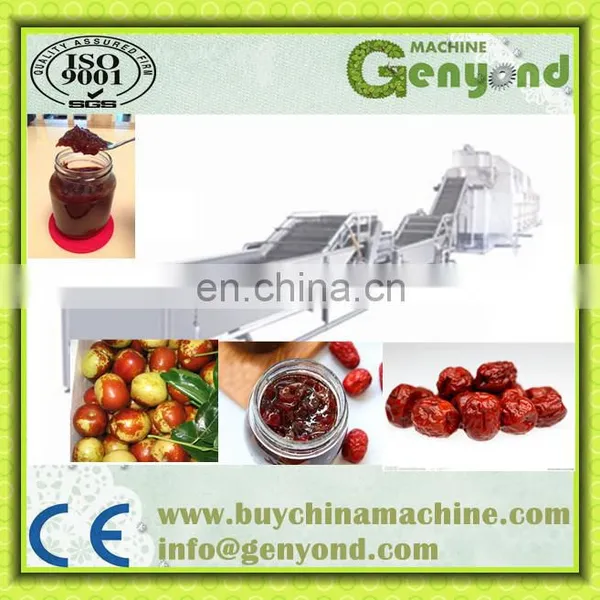 Dates Syrup Making Machine/Dates Molasses Making Machine photo-2