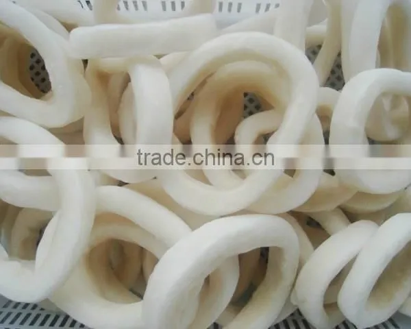 WR Frozen Illex Squid - Whole, Tube, Rings and Tentacles photo-5