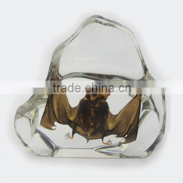 2016 New Design Wholesale Promotional Gift Desk Decoration With Real Insect Bat photo-2