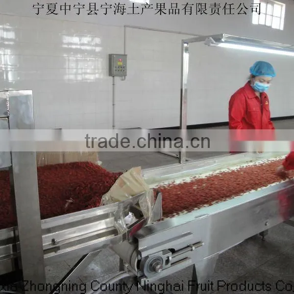 Ningxia Wolfberry