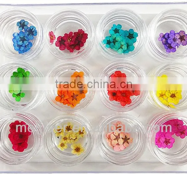 Mini Bead for Real Flower Nail Art 2013