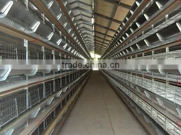Automatic Hot Galvanized Farming Broiler Cage for Nigeria photo-3