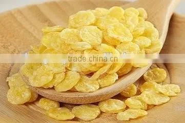 Automatic Wholesome Breakfast Cereal-Corn Flakes Production Line photo-6