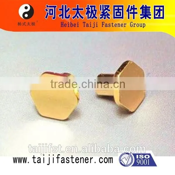 China Manufacture Hex Head Rivet photo-2