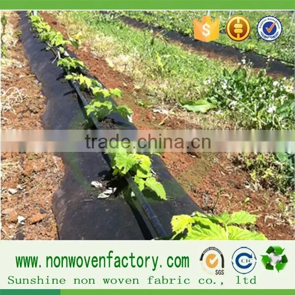Nonwoven Fabric Nonwoven Garden Cover France Weed Control Fabric photo-4