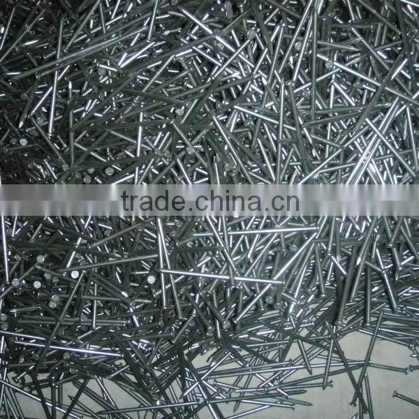 Common Nail photo-3