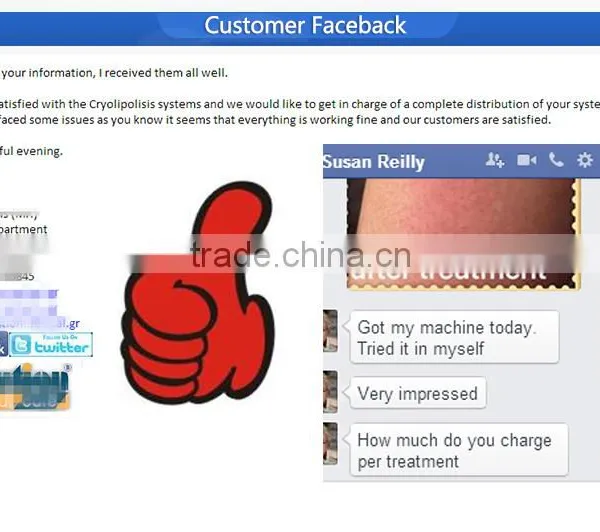2016 Cryo Fat Freeze / Cryolipolysis Fat Freeze Slimming Machine for Body Slimming photo-6