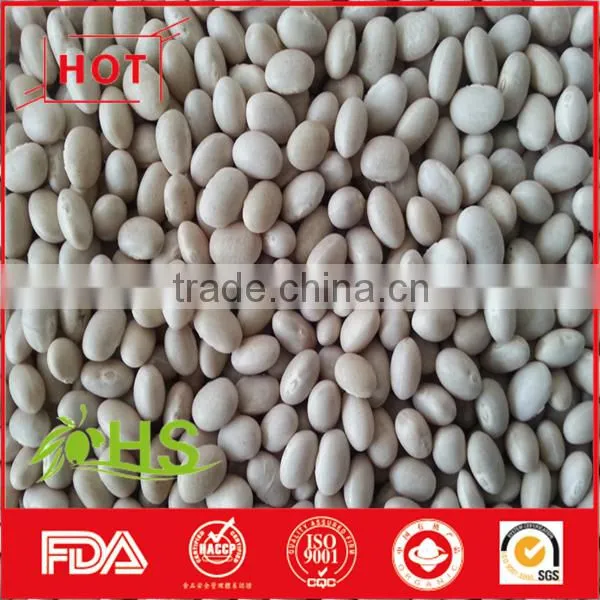 Hot Sale White Kidney Beans From China photo-4
