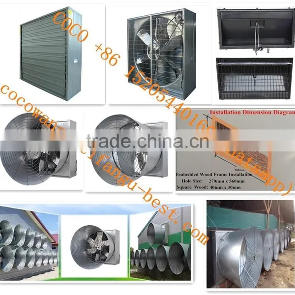 Broiler Poultry Farm Equipment Automatic Silo/Feeding/Drinking/Fan/Cooling Pad/Heater/Controller System for Farming Chickens photo-4
