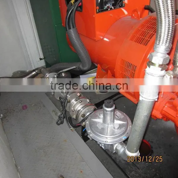 Camda Good Quality Biogas Generator With CE Certificate photo-2