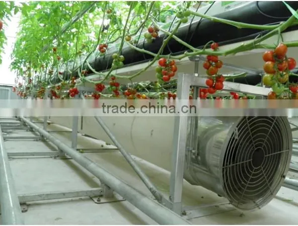 Greenhouse Climate Control Systems photo-2