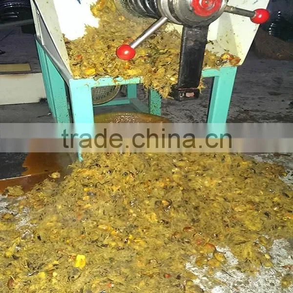 Low Price Palm Oil Press Machine for Small Scale Oil Plant photo-6