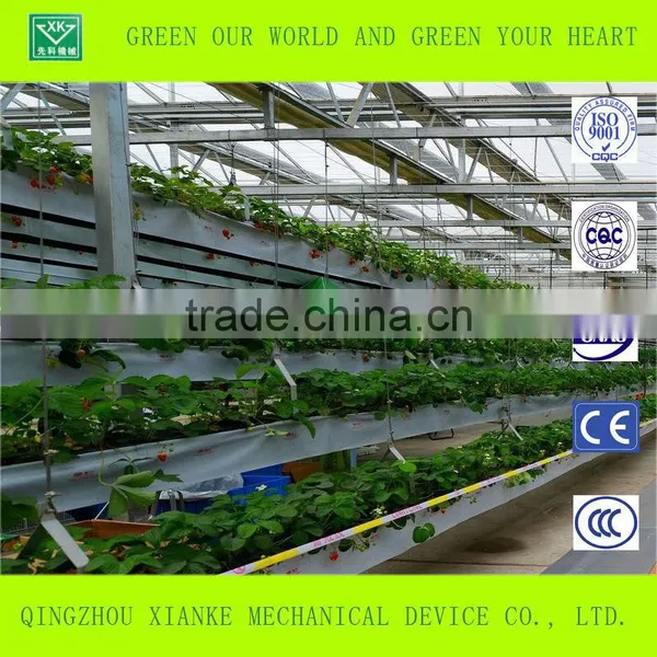 Multispan Plastic Film Greenhouse for Tomato Cucuber Flower Horticulture photo-2