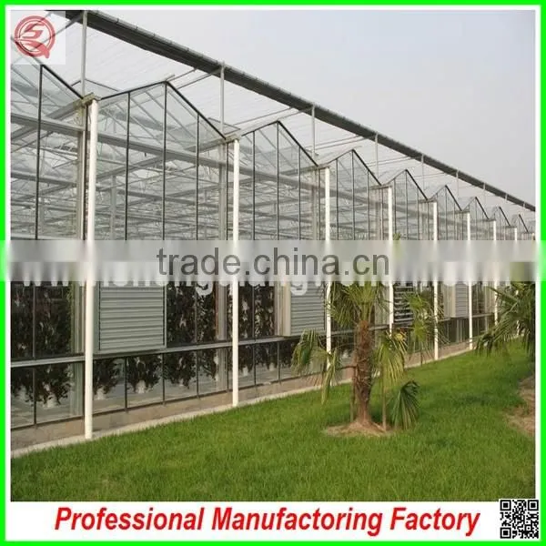 Hot Sale Multi-span Glass 9.6m Agriculture Greenhouse for Vegetables photo-5