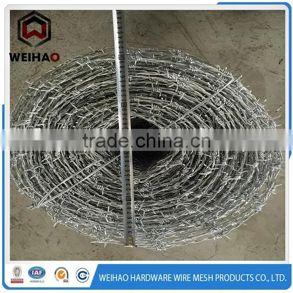 Improved Stainless Steel Barbed Wire photo-2