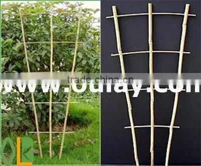 Garden Bamboo Trellis for Flower and Fruit for Wholesale photo-3