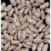 LIGHT SPECKLED KIDNEY BEANS