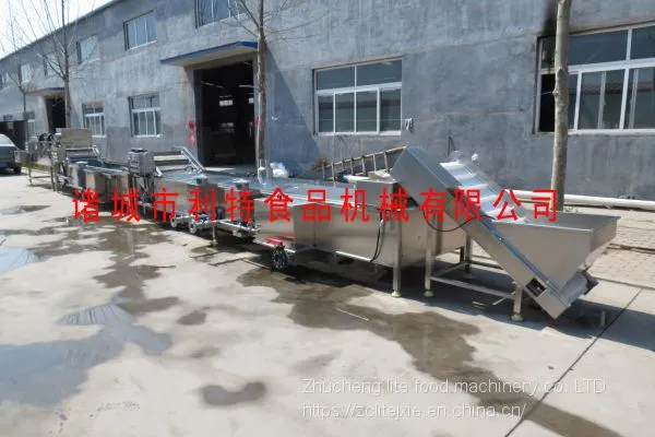 Vegetable Salad Production Line Vegetable Pre-cooking Machine Vegetable Pre-cooking Equipment Manufacturer