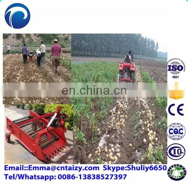Onion Harvesting Machine Single-row Potato Harvester Machine for Sale Peanut Harvester photo-2