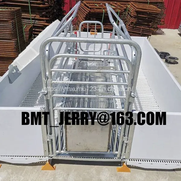 Hot Dip Galvanized Customized Size Sow Farrowing Cage for Swine Farm photo-3