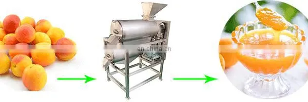 Stainless Steel Coconut Milk Screw Industrial Fruit Apple Watermelon Mango Pineapple Juice Crusher Juicer Extractor Machine photo-3