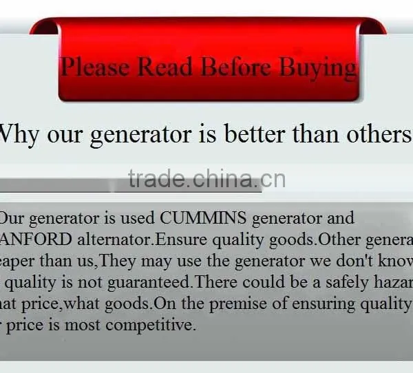 Professional Open Type Diesel Generator China Supplier photo-5