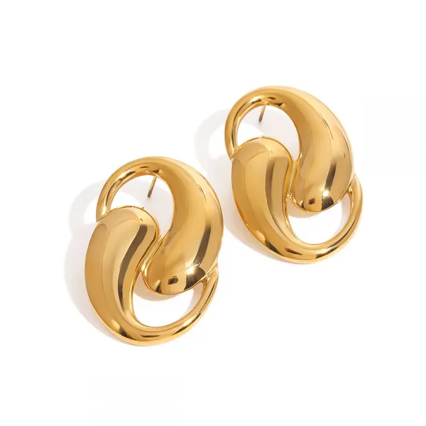 Hypoallergenic Stainless Steel Fashion Earrings for Sensitive Skin photo-4