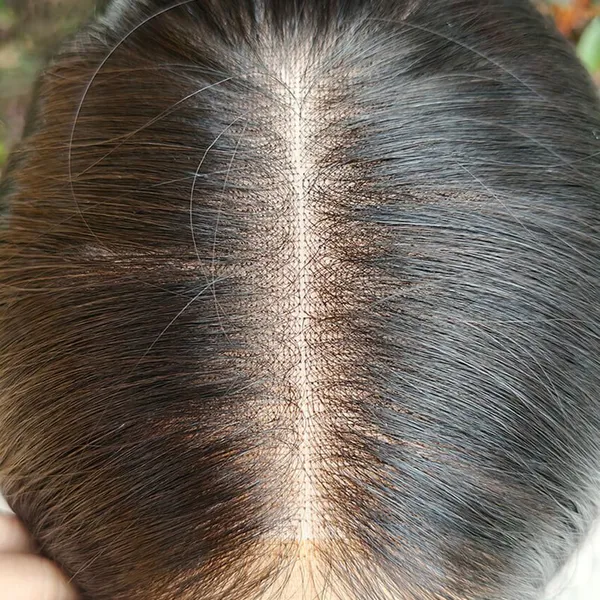 Unprocessed Human Hair Wigs for Women photo-4