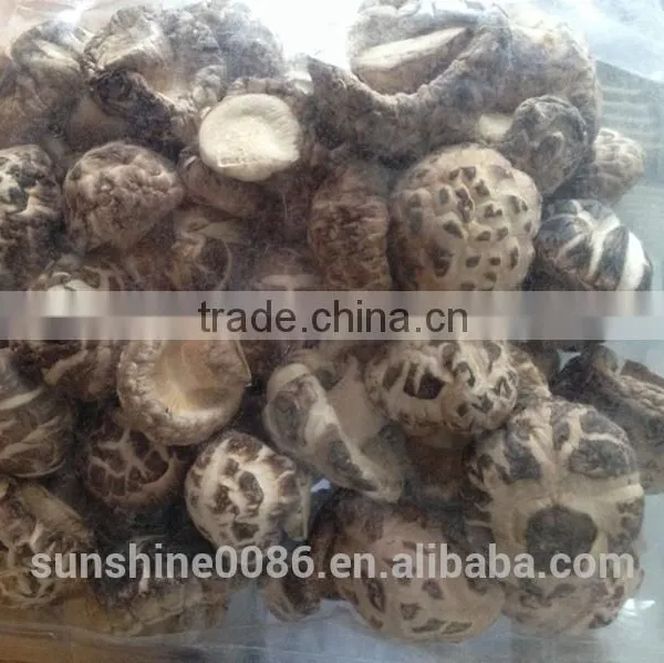 High Quality Dried Shiitake Flower Mushroom photo-3