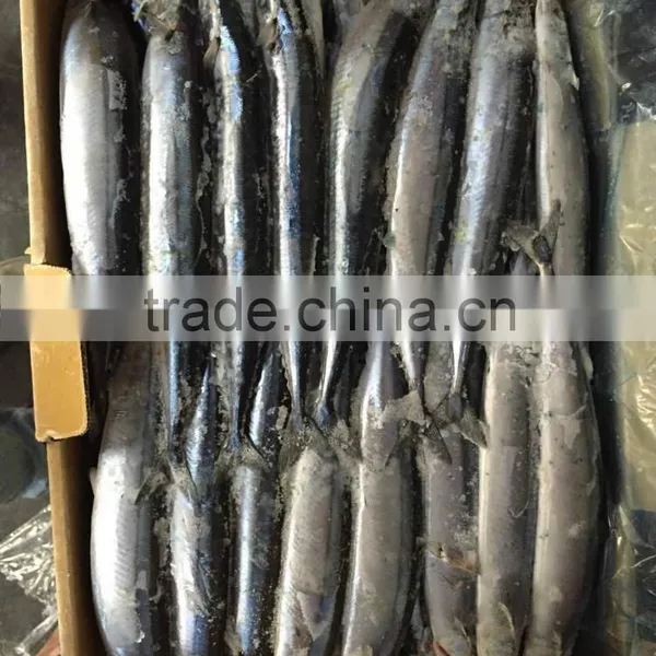 2015 Seafrozen Pacific Saury Whole Round 1#:120-140g/pc photo-2