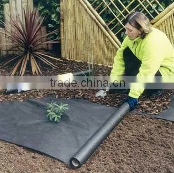 China Nonwoven Anti Weed Mat photo-3