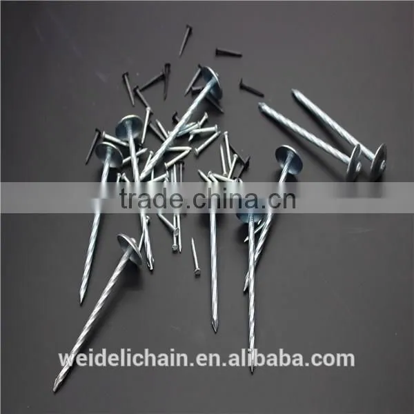 BWG9X3" UMBRELLA ROOFING NAILS photo-2