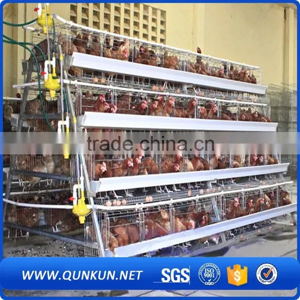 Samples of Poultry House for Layers photo-5