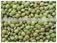 Green Lentils