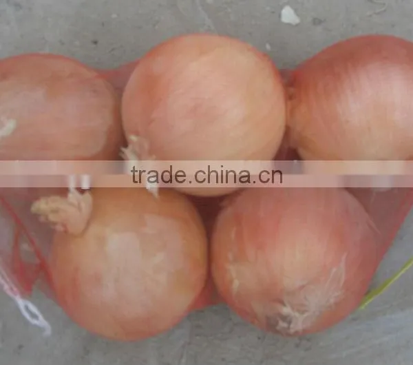 Wholesale Onions