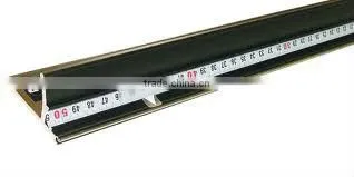 Weldon 3d lenticular rulers