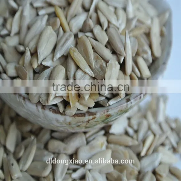 White Sunflower Kernels Name of Oil Seeds photo-3