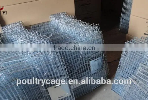 Large Live Animal Cage Traps For Sale Cheap photo-4