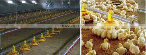 Battery Breeding Cage