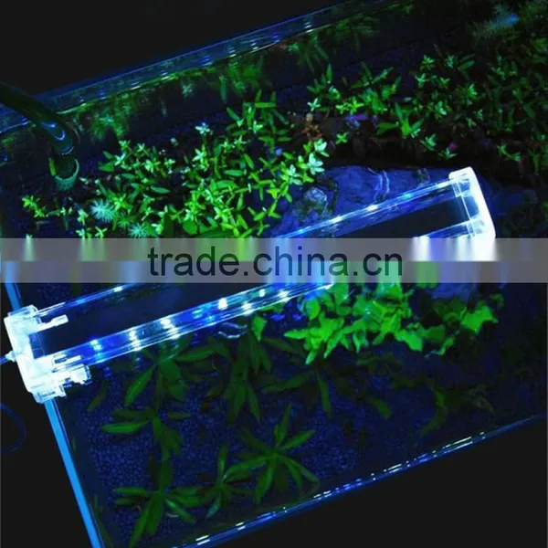 Zhongshan Factory Led Aquarium Light for Coral Fish Tank Lighting Controller photo-4
