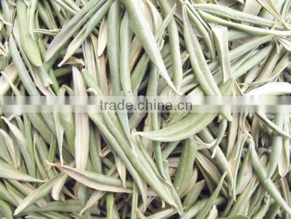 Dried Olive Leaves