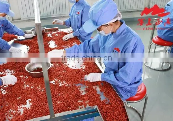 Dried Goji Berry photo-6