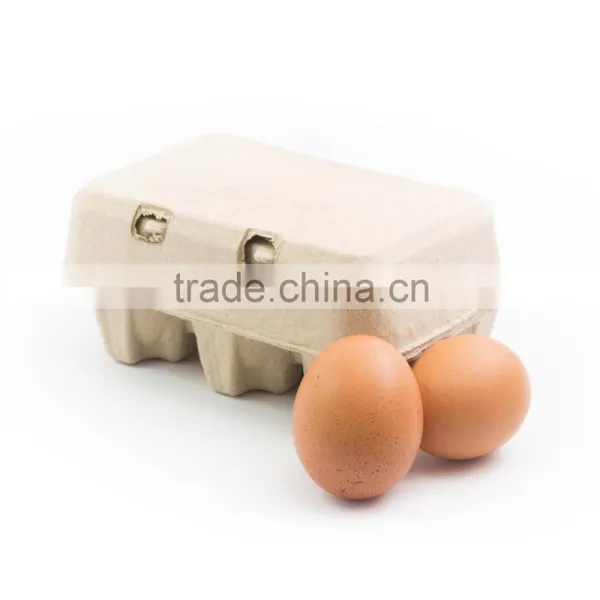 Pulp Moulding Tray and Egg Box/paper Pulp Egg Tray photo-2