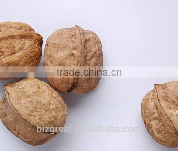 China OriginBulk Walnut in Shell photo-4