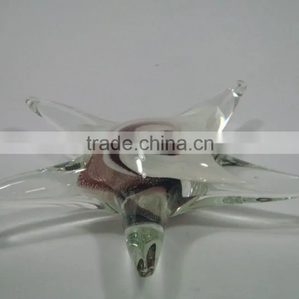 Glass Starfish photo-2
