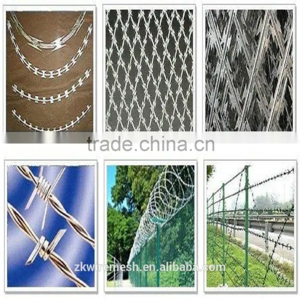 PVC Coated Razor Barbed Wire Factory photo-3