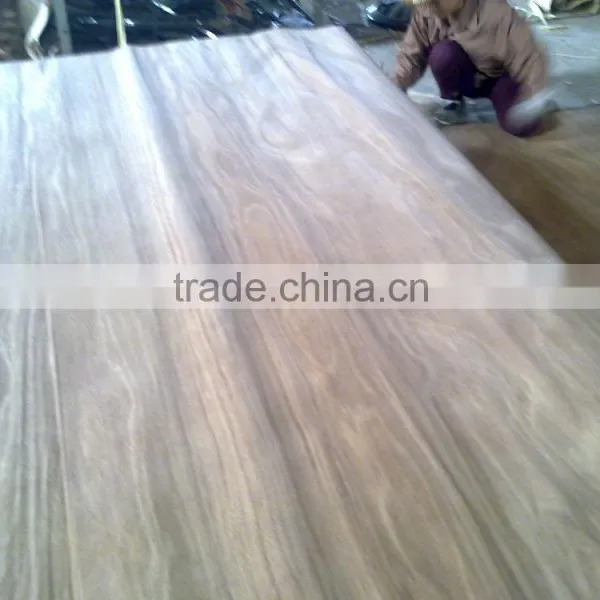 Packing Vietnam Plywood