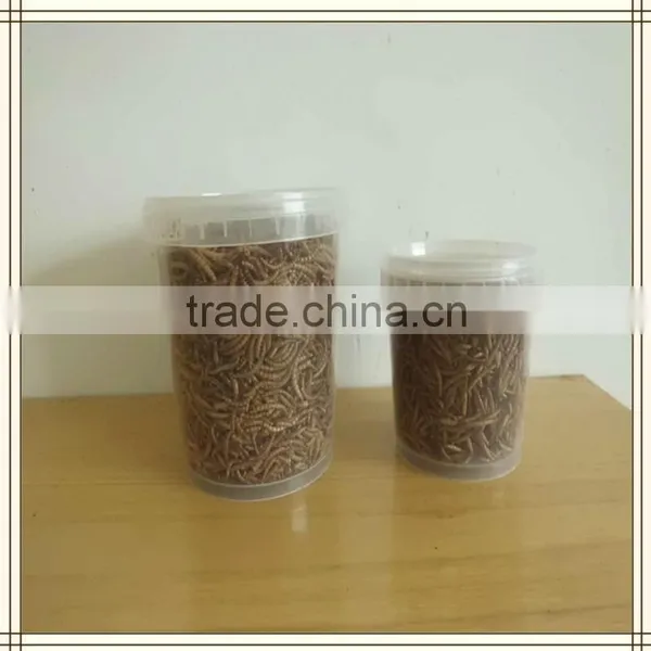 High Nutrition Dried Mealworms for Pet Food