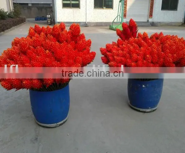 Artificial Plant High End Tropical Presentation