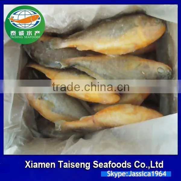 Frozen Seafood Frozen Yellow Croaker, Yellow Croaker Fish Price photo-2